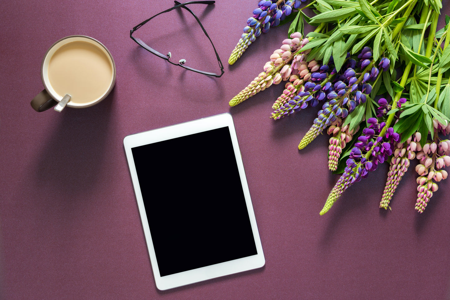 Sign Up for Email and Stay Connected!